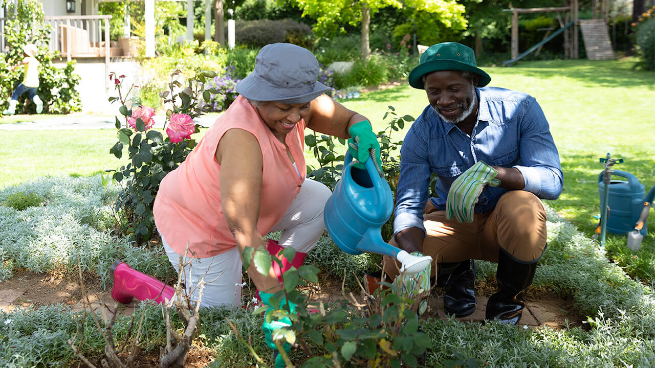 Image of an older couple gardening Image of an older couple gardening